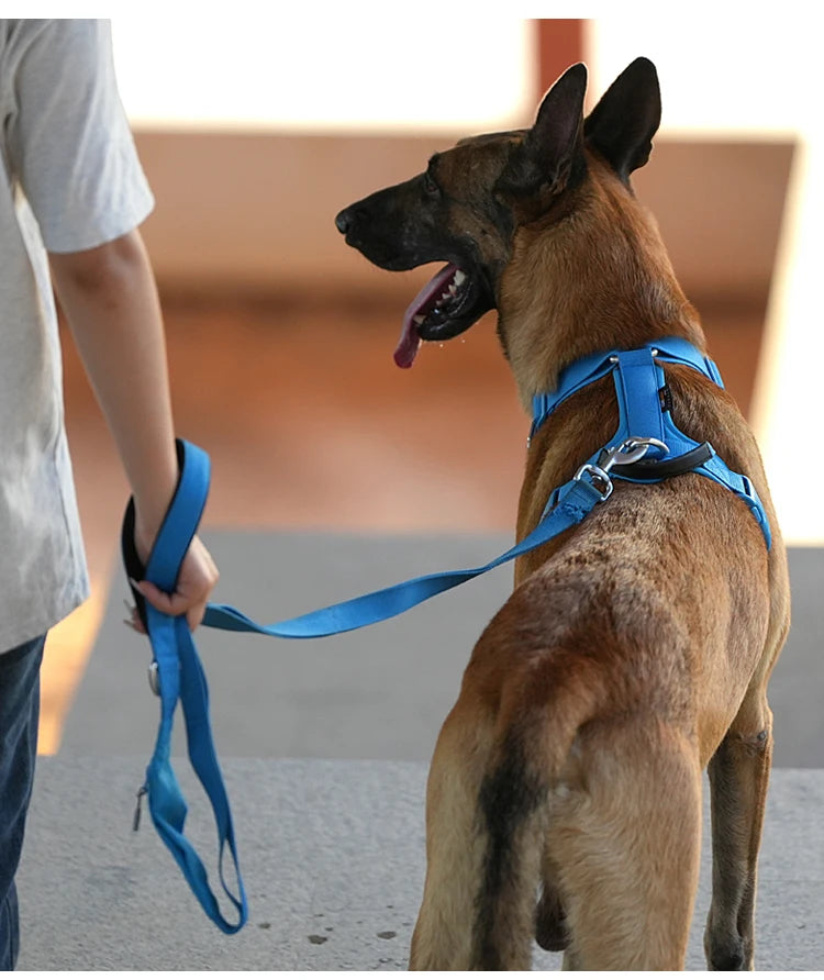 SMALL COMBINATION Lightweight Dog Leash for Small, Medium, Large Double Handle Dog Leash Puppy Pocket Designer running Pet Leash