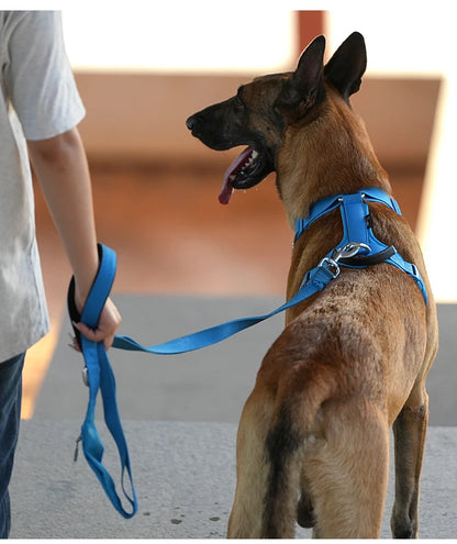 SMALL COMBINATION Lightweight Dog Leash for Small, Medium, Large Double Handle Dog Leash Puppy Pocket Designer running Pet Leash