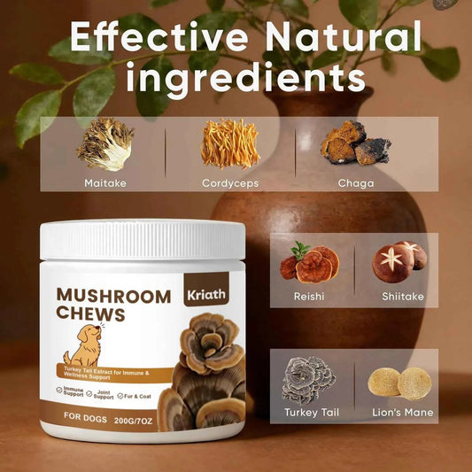 Turkey Tail Mushroom Chew for Dogs Joint Spine Mobility Support Immune Health with Lion's Mane Shiitake Turmeric Prebiotics