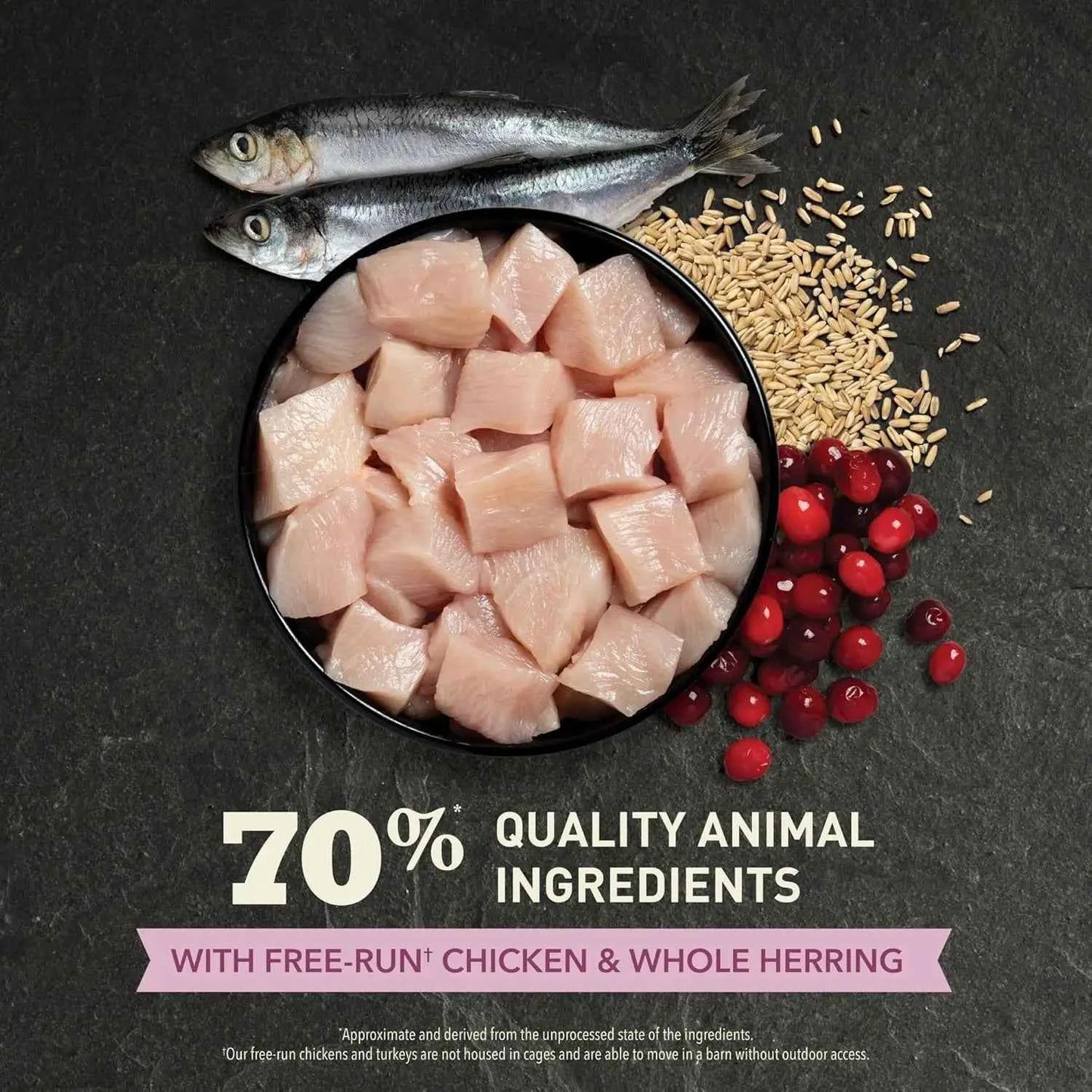 Premium Dry Cat Food for Kittens with Chicken and Fish, 4lb Bag