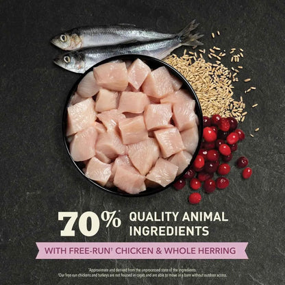 Premium Dry Cat Food for Kittens with Chicken and Fish, 4lb Bag