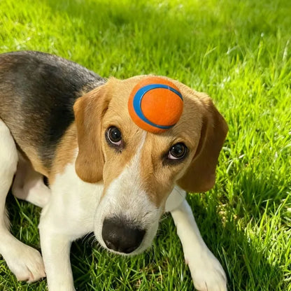 Dog Toy Ball Dog Fetch Ball Toy Tough Pet Ball Puppy Chew Toy Solid Elastic Jumping Ball Pet Accessories For Large Medium Small