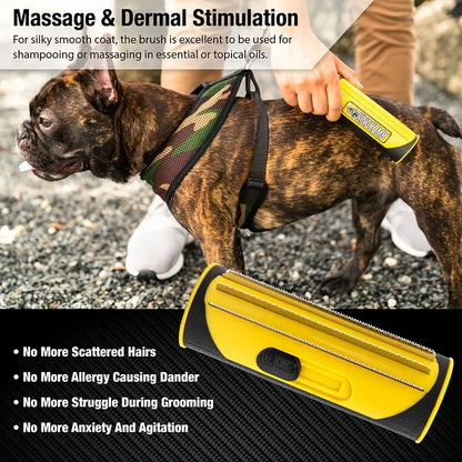ABS Stainless Steel Pet Hair Remover Brush, Double Sided Grooming Tool for Sofa Carpet Dog Cat Shedding Accessories