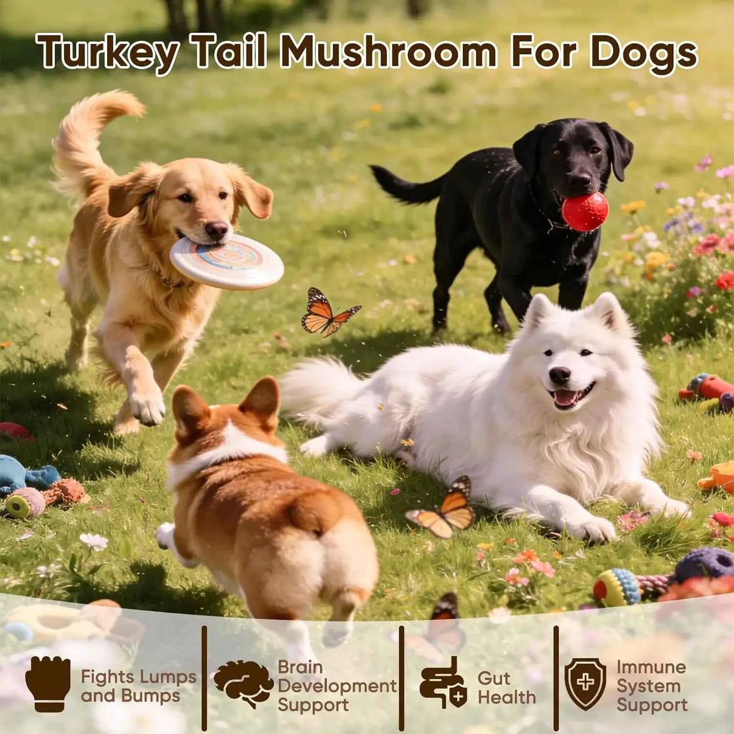 Turkey Tail Mushroom Chew for Dogs Joint Spine Mobility Support Immune Health with Lion's Mane Shiitake Turmeric Prebiotics