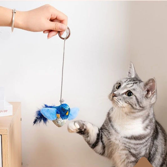 Wall Hanging Catnip Bird Cat Teaser – Indoor Sounding Self-Play Toy for Cats - Pet Suppie