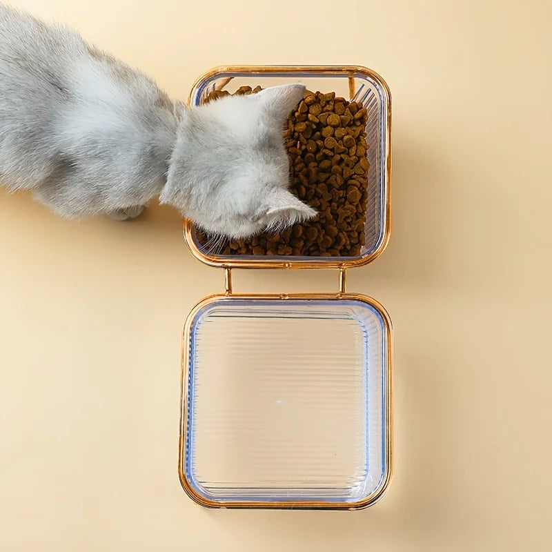 Transparent Elevated Dual Cat Bowl, 2-in-1 Raised Feeder for Food & Water, Tilted Design for Easy Eating, Ideal for Cat Health