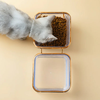 Transparent Elevated Dual Cat Bowl, 2-in-1 Raised Feeder for Food & Water, Tilted Design for Easy Eating, Ideal for Cat Health