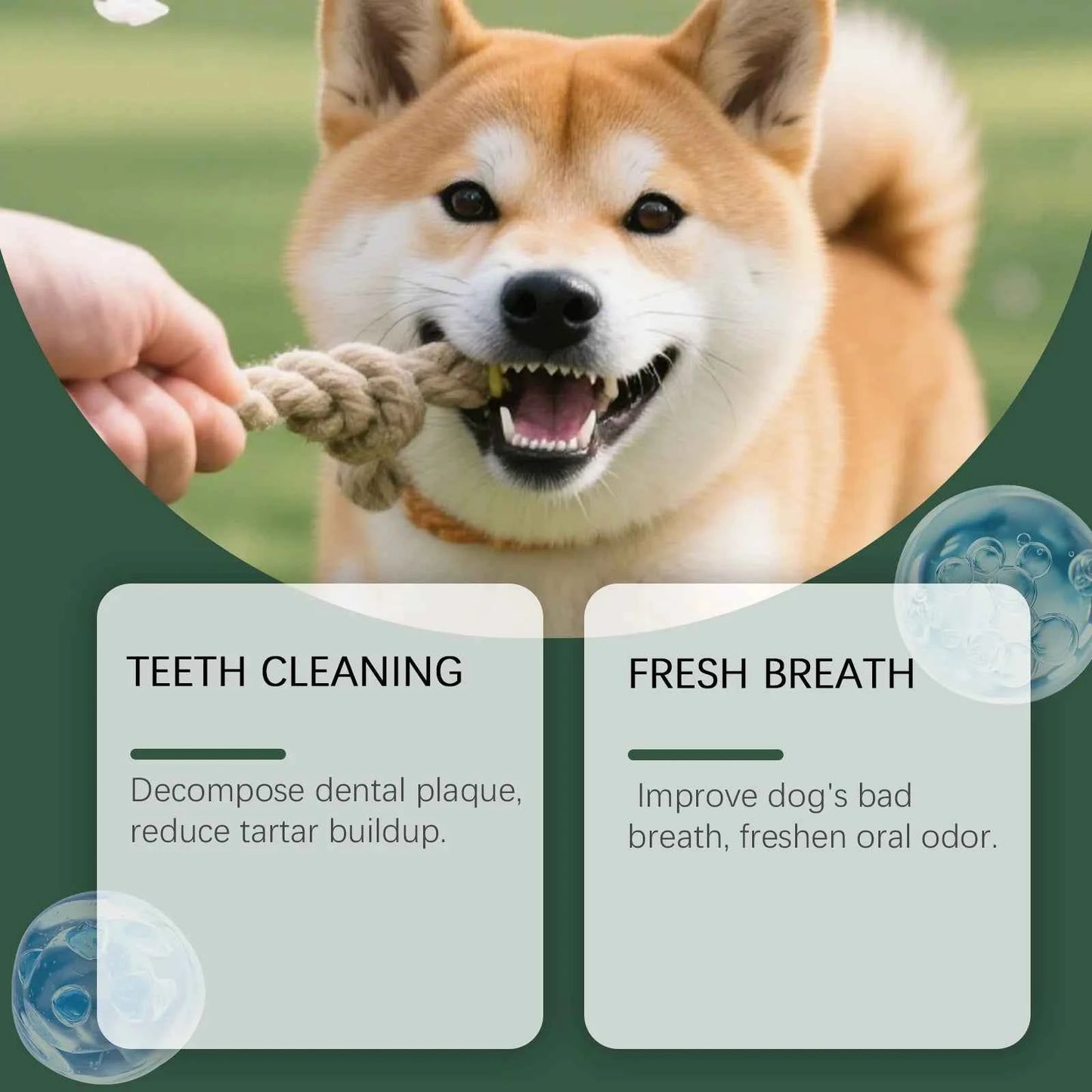 Natural Pet Dental Powder Cat Dog Breath Freshener Oral Health Care Clean Teeth Plaque Defense Enzyme Formula Pet Supplies