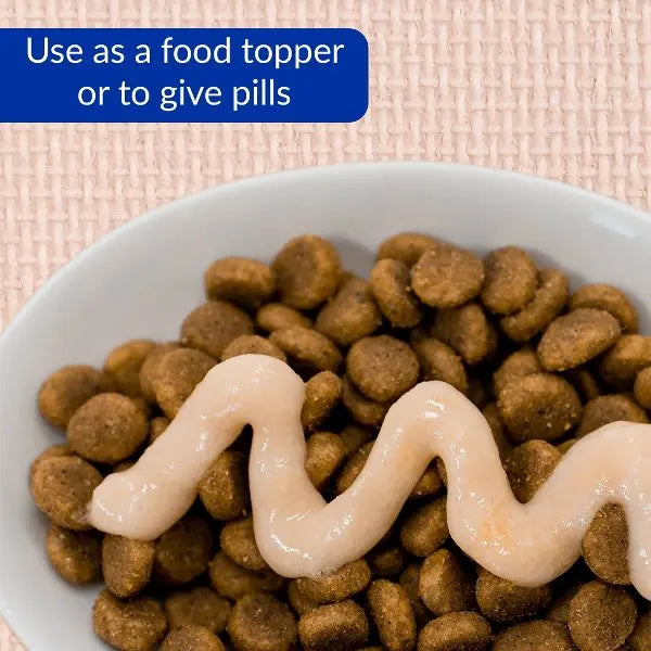 Gifts for Cats 8 Count