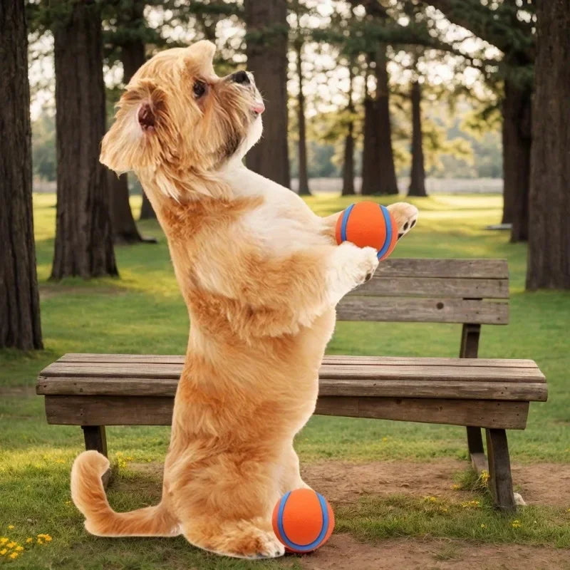 Dog Toy Ball Dog Fetch Ball Toy Tough Pet Ball Puppy Chew Toy Solid Elastic Jumping Ball Pet Accessories For Large Medium Small