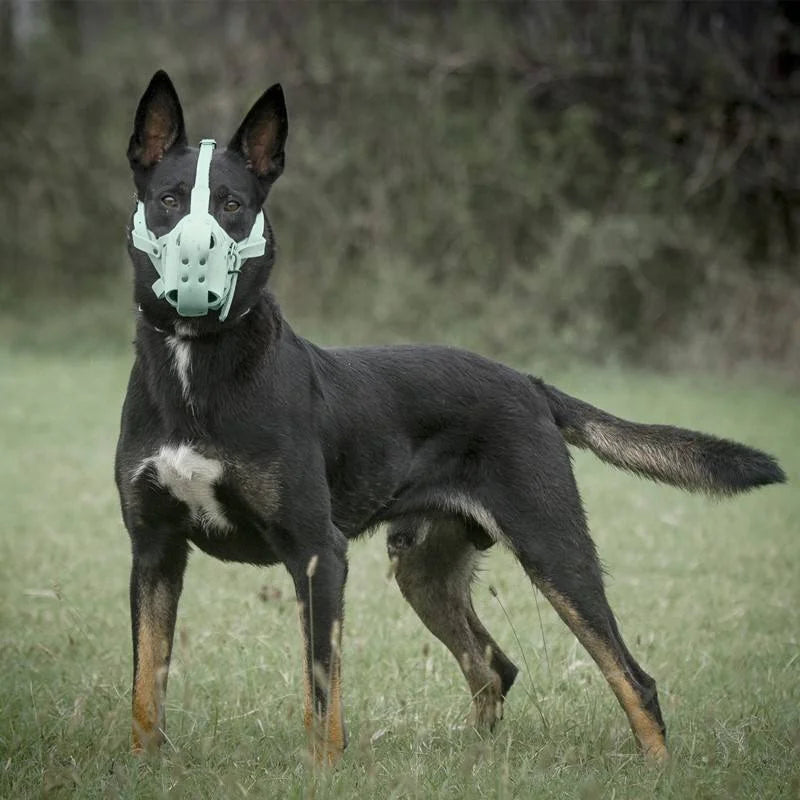 "Dog Muzzle PU Leather - Breathable Soft Anti-Bite Adjustable Mouth Cover for Medium Dogs, Comfortable Training Cage for German