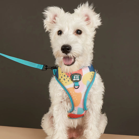 New Arrives Adjustable Soft Mesh With Fashionable Design Pet Harness And Leash Set - Pet Suppie