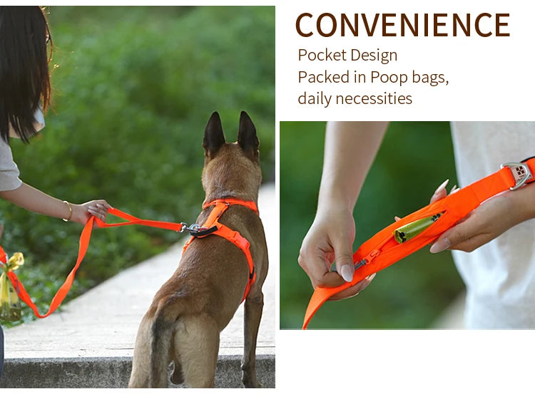 SMALL COMBINATION Lightweight Dog Leash for Small, Medium, Large Double Handle Dog Leash Puppy Pocket Designer running Pet Leash