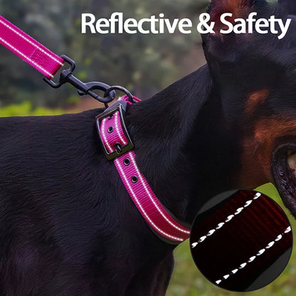 Solid Dog Collars Nylon Dog Collar For Small Medium Large Dogs Teddy Keji Pitbull Bulldog Beagle