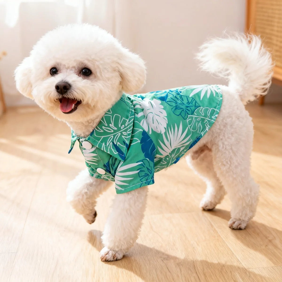 Cat Flower Shirt, Lightweight Spring and Summer Anti-static Wool, Persian Blue Gradient, Dog and Cat Pet Clothing