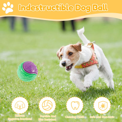 6Pcs Squeaky Balls Toys Dogs Interactive Toys TPR Dog Chew Toy for Dog Pet Teeth Cleaning Bite Resistance  Pet Supplies