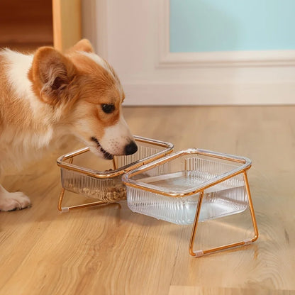 Transparent Elevated Dual Cat Bowl, 2-in-1 Raised Feeder for Food & Water, Tilted Design for Easy Eating, Ideal for Cat Health