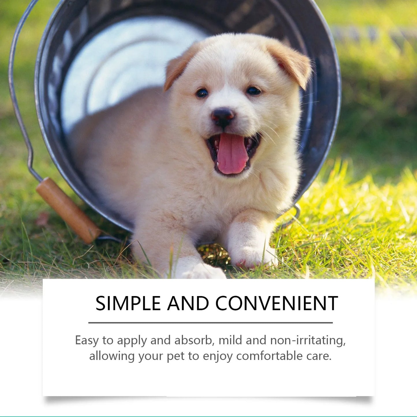 Pet Skin Care Cream Dry Itchy Skin Soothing Lotion For Dogs And Cats Itchy Skin Relief Cream For Cats Paw Lotion Soothing Balm