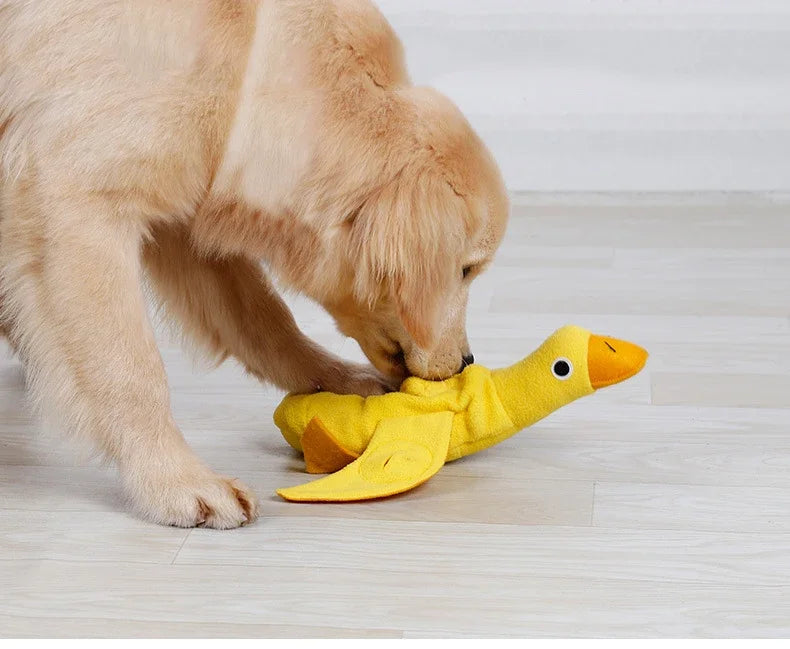 Quacky Delight Snack Dispenser - Squeak Toys for Puppy Training, Interactive Play,  Mental Stimulation - Durable, Easy-to-Clean
