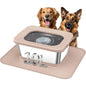 Stainless Steel Dog Water Bowl, No Spill Anti-Splash Dog Bowls with XXL Silicone Mat, Spill-Proof Slow Feeder for Messy Drinker