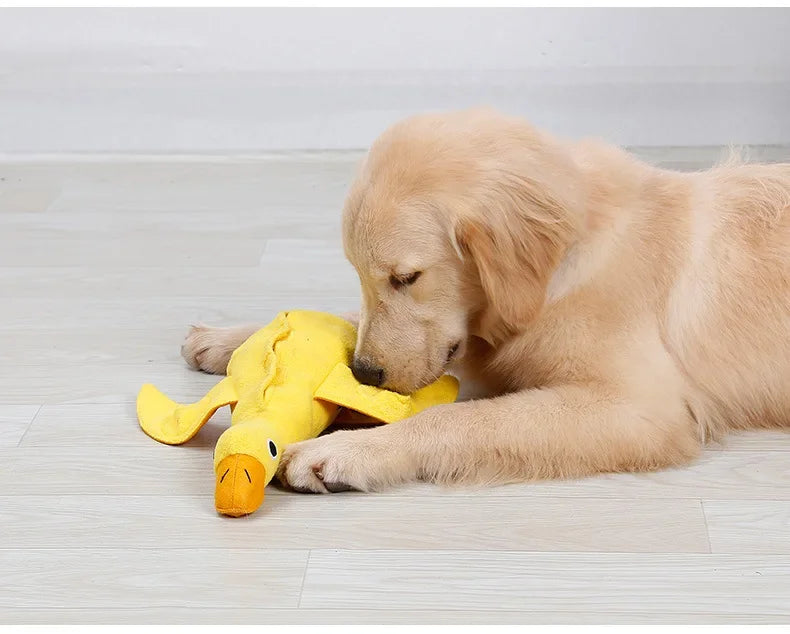 Quacky Delight Snack Dispenser - Squeak Toys for Puppy Training, Interactive Play,  Mental Stimulation - Durable, Easy-to-Clean