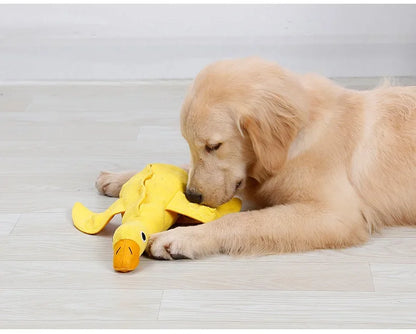 Quacky Delight Snack Dispenser - Squeak Toys for Puppy Training, Interactive Play,  Mental Stimulation - Durable, Easy-to-Clean