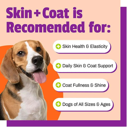 Dog Skin & Coat Supplement with Salmon Oil, Vitamin E & Flax Oil - 30 Chews - No Corn or Wheat - Vet Recommended