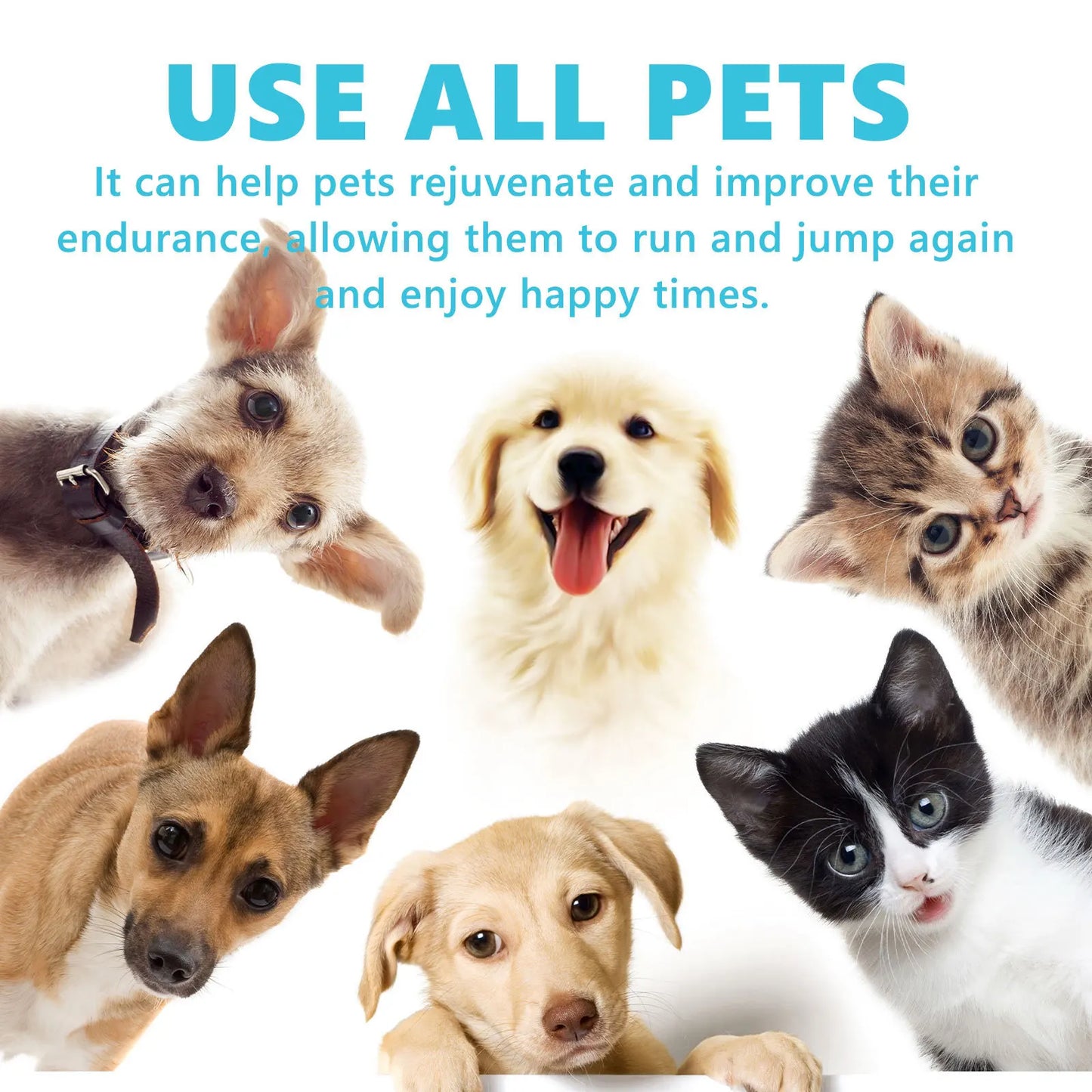 Dog Joint Glucosamine Drop Joint Hip Relief Joint Care Supplement Arthritis Deformities Repair Condition Bone Pet Body Care Drop