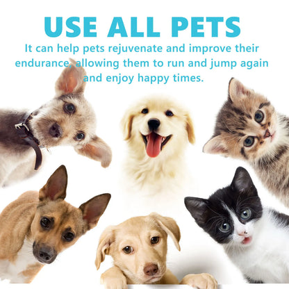 Dog Joint Glucosamine Drop Joint Hip Relief Joint Care Supplement Arthritis Deformities Repair Condition Bone Pet Body Care Drop