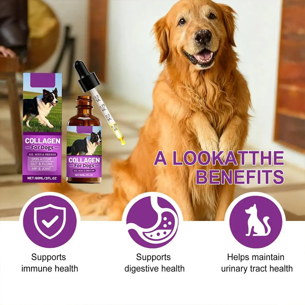 Dog Collagen Absorbable Drops Pet Cleaning & Nutritional Care - Skin Hair Intestinal Joint Health Support Daily Pet Supplement