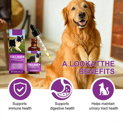 Dog Collagen Absorbable Drops Pet Cleaning & Nutritional Care - Skin Hair Intestinal Joint Health Support Daily Pet Supplement