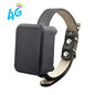 Pet Mini 4G GPS Tracker Kids Personal Locator Car Start Stop Tracking Monitor 1200mA Free Online Website APP Safety System