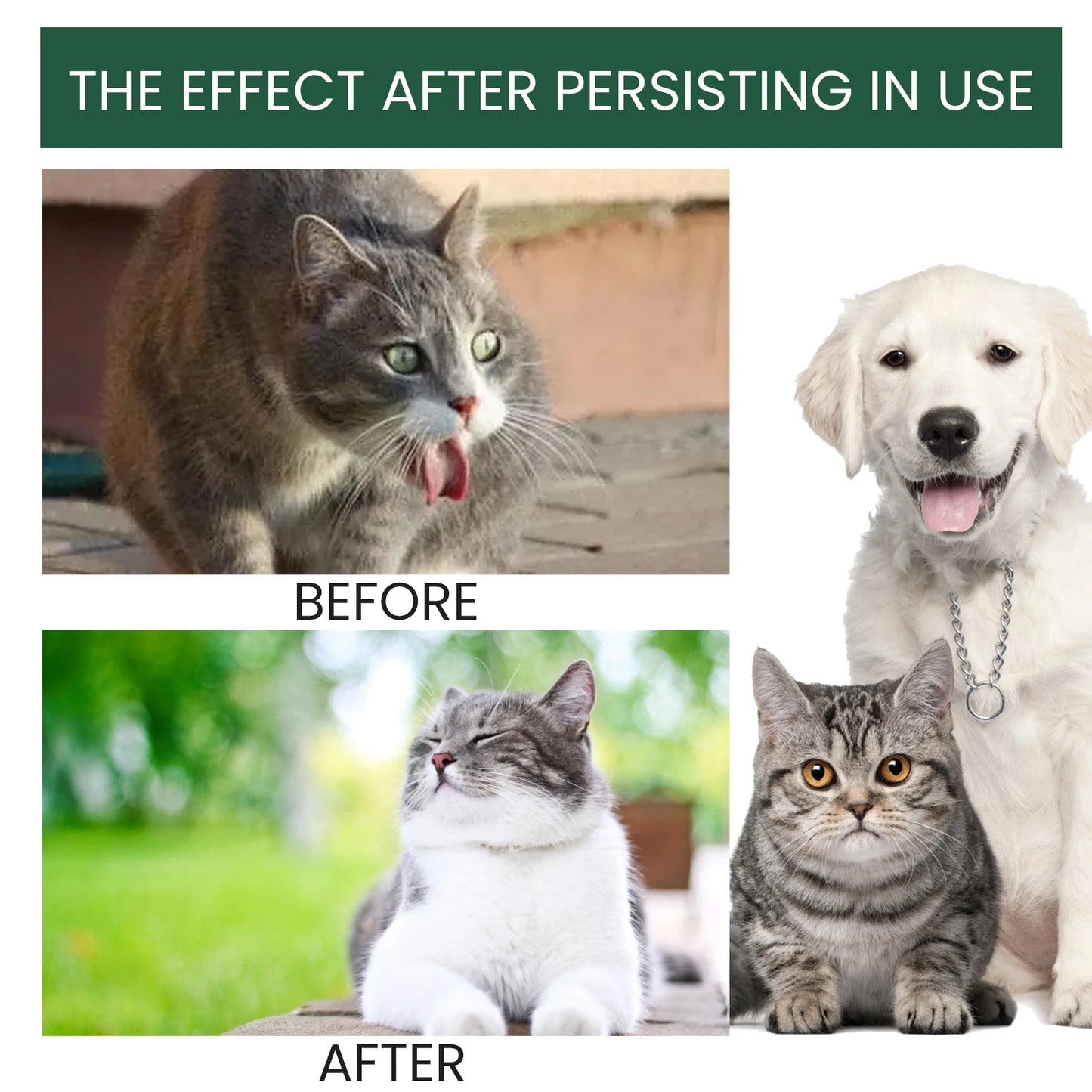 Probiotic Drops to Boost Pet Immunity, Relieve Discomfort in Cats and Dogs, Oral Care for Pets, Bad Breath Solution