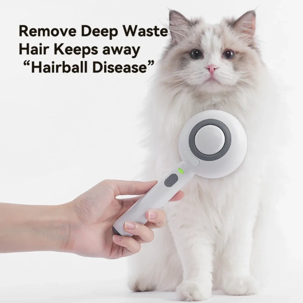 Pet spray Comb Cat Cleaning Massage Comber Brush Removing Float Needle Comb Anti Flying Hair Spray Cat Dog Comb Beauty Products