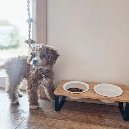 15° tilted heightened pet bowl heightened dog bowl with stainless steel food bowl feeder suitable for cats and puppies