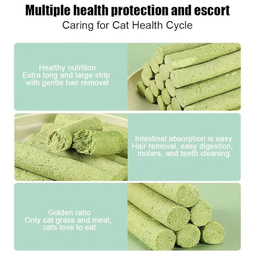 Cat Grass Teeth Grinding Stick Pet Snack Hairball Removal Sticks Ready To Eat Cat Baby Teeth Cleaning Stick Improve Digestion