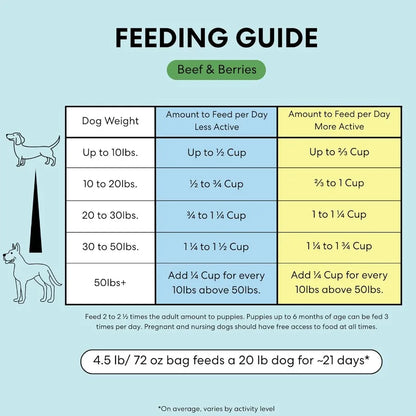 Air Dried Grain Free Dog Food for Dogs Large Medium and Small Puppy Dog Food Adult Dog Food Senior Dog Food Beef and Berries 4.