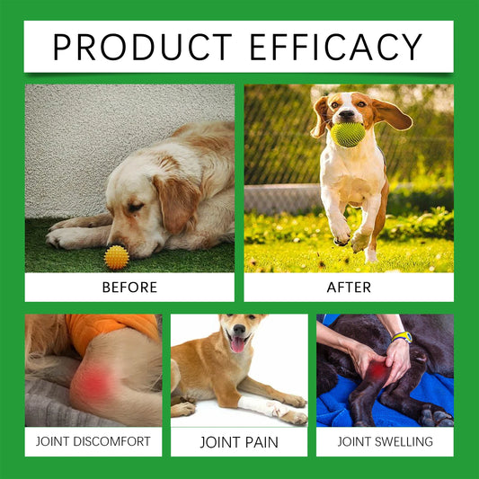 Pet Joint Care Tablets Various Nutrients for Dog Relieve Joint Discomfort Maintain flexibility Strengthen Bones Dog Supplies