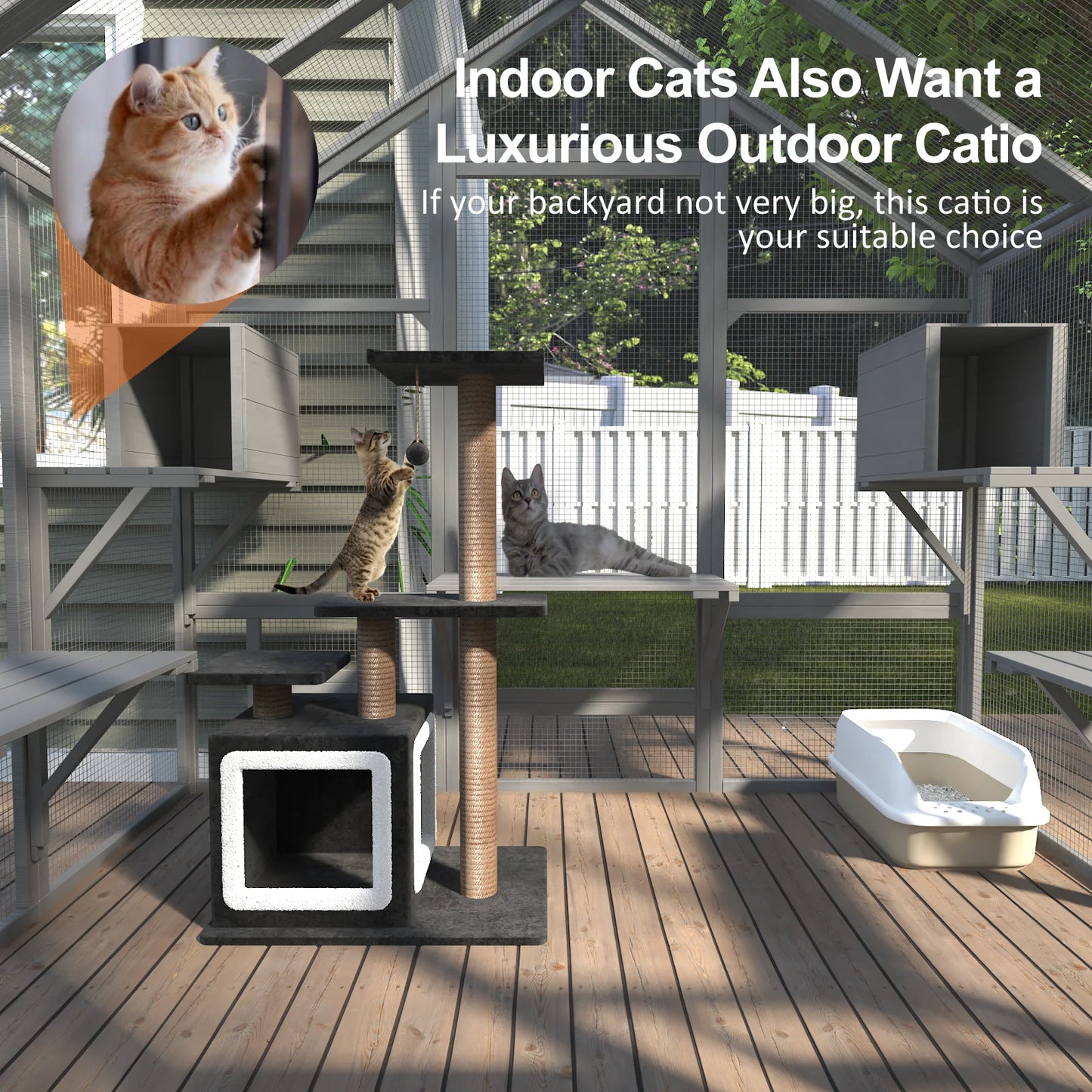 71"Catio Outdoor Cat Enclosure for Multiple Cats Large Wooden Walk in Cats House Outside Weatherproof Roof