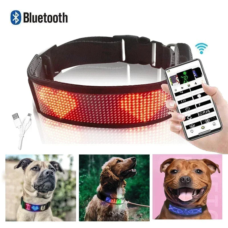 Collar Programmable LED Dog Collar Flashing Light Up Rechargeable Pet Dog Safety Collar Glow in The Dark Light-up Neck Loop