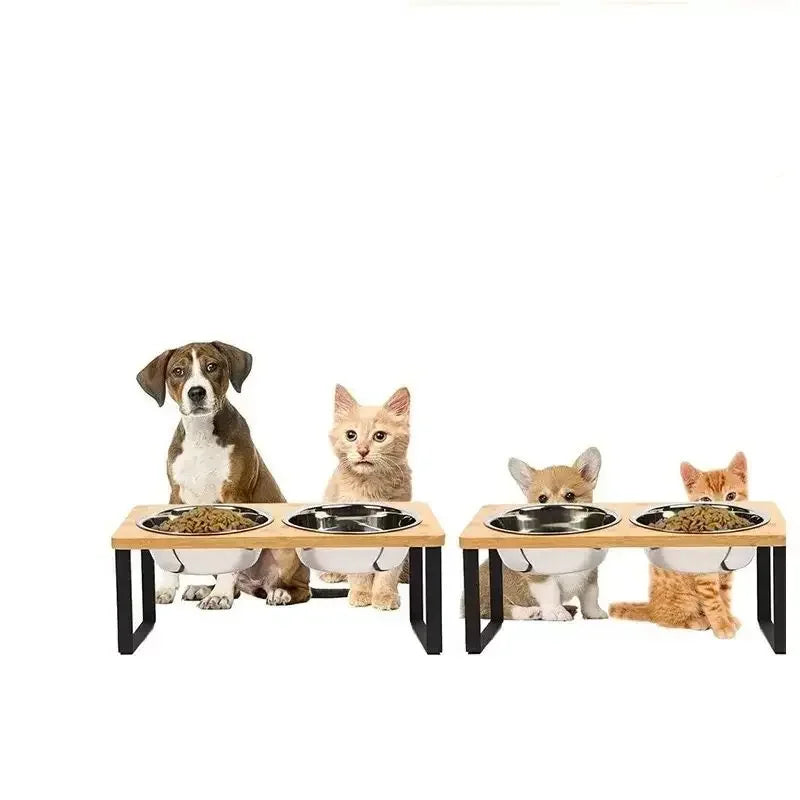 Elevated Cat Bowls 15° Tilted Raised Cat Food Bowls with Wooden Stand Anti Vomiting 2Stainless Steel Bowls for Cats and Puppy