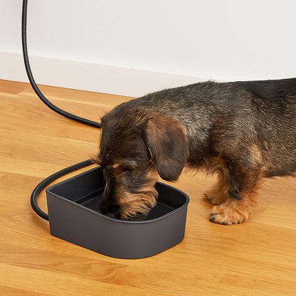 Plastic Heated Water Bowl 1L Hanging Dog Water Bowl Pet Heated Bowl for Rabbits Dogs Cats and All Breed Sizes