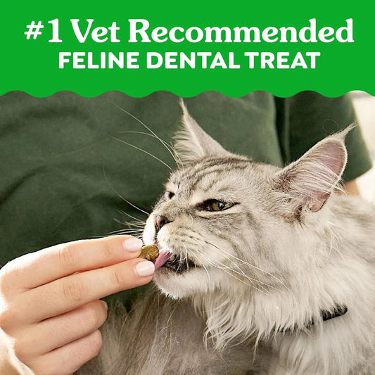 Feline Adult Dental Cat Treats – Oven Roasted Chicken Flavour 21oz Tub - Pet Suppie