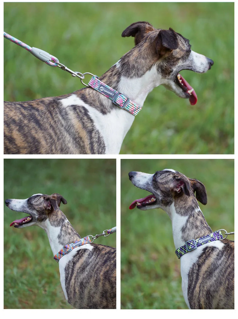 Nylon Dog Collar Adjustable Reflective Pet Collars with Metal Buckle and Quick Release Buckle Large and Medium Dog Pet Collars