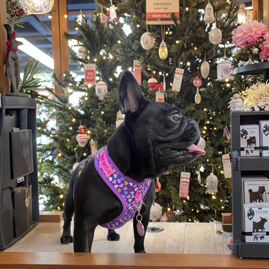 Romantic Holiday Curated Gift Light Luxury Adjustable Personalized Print Dog Harness + 1Pcs Tone Pet ID Tag Free With Purchase