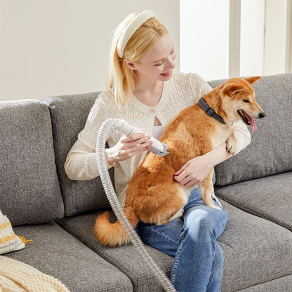 Woman grooming a dog with a hair dryer on a gray couch