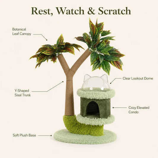 Mango Tree Cat Tree for Small Cats - Cozy Perch Fun Platform Scratching Post - Cat Furniture with Natural Sisal Rope