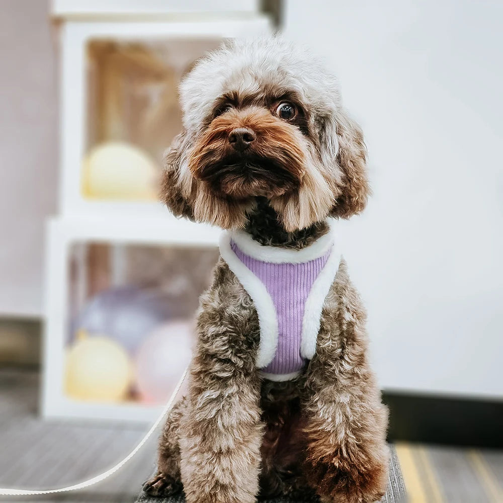 Warm Winter Dog Harness and Leash Set Soft Fur Cat Dog Vest Harness For Small Medium Dogs Cats Chihuahua French Bulldog