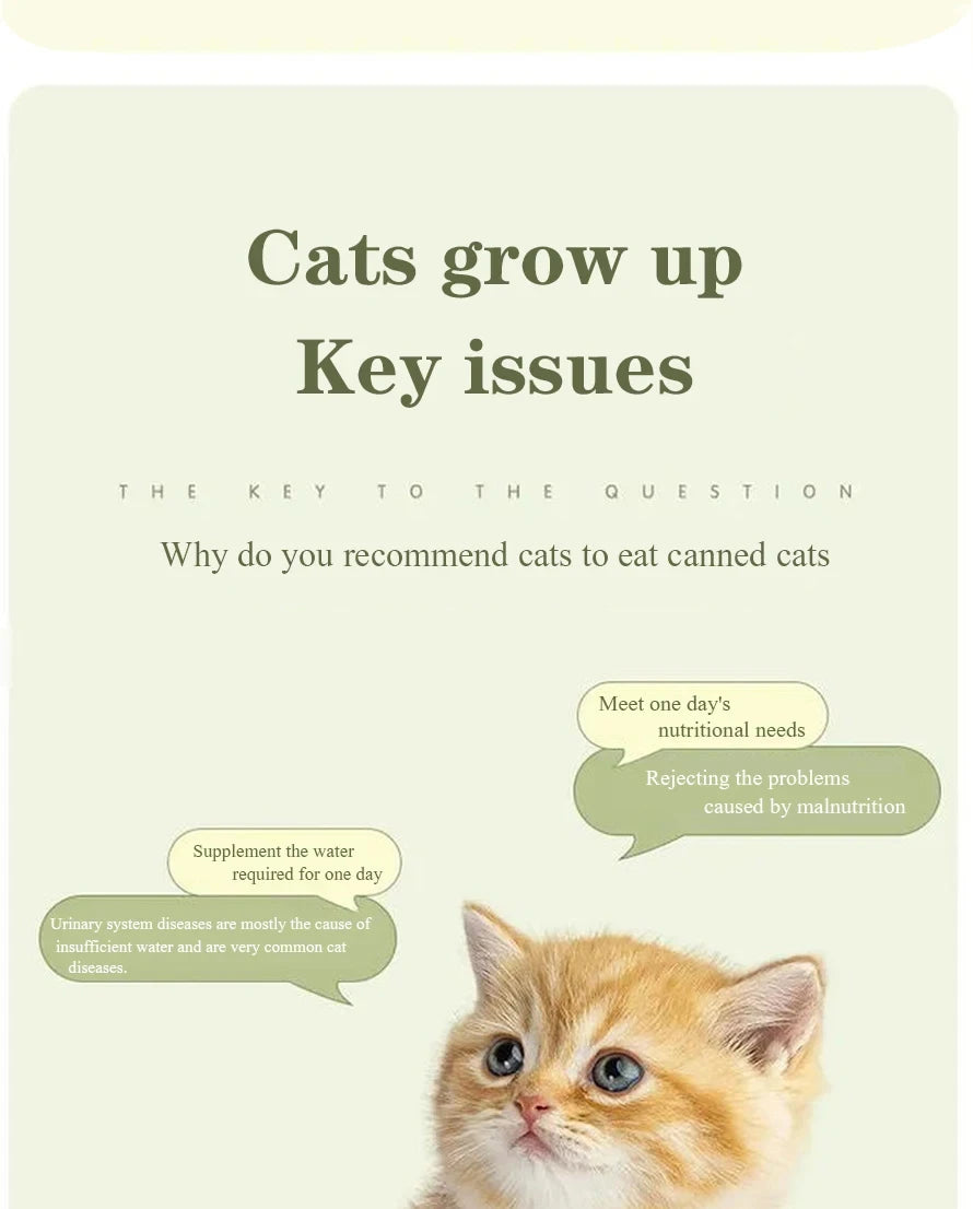 Canned cat snacks canned dog beef canned chicken canned pet wholesale pet snacks