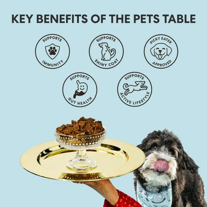 Air Dried Grain Free Dog Food for Dogs Large Medium and Small Puppy Dog Food Adult Dog Food Senior Dog Food Beef and Berries 4.